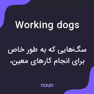 معنی working dogs به فارسی معنی working dogs به فارسی