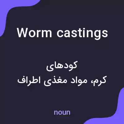 معنی worm castings به فارسی معنی worm castings به فارسی