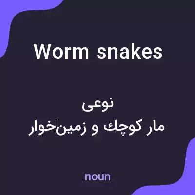 معنی worm snakes به فارسی