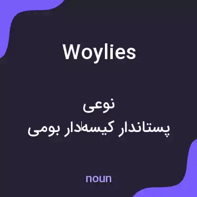 معنی woylies به فارسی معنی woylies به فارسی