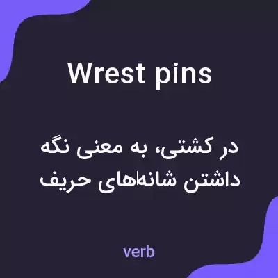 معنی wrest pins به فارسی معنی wrest pins به فارسی