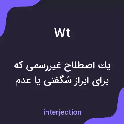 معنی wt به فارسی معنی wt به فارسی