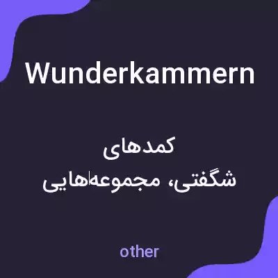 معنی wunderkammern به فارسی معنی wunderkammern به فارسی