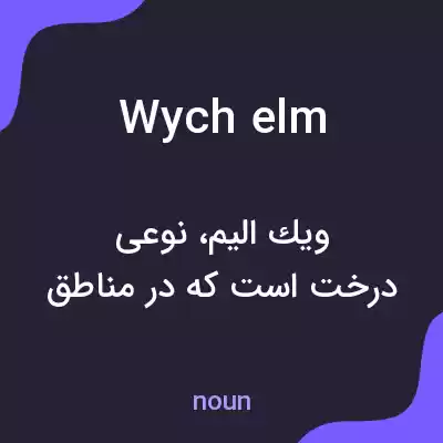 معنی wych elm به فارسی