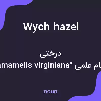 معنی wych hazel به فارسی معنی wych hazel به فارسی