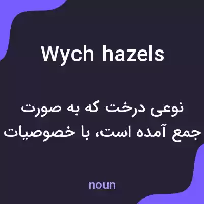 معنی wych hazels به فارسی معنی wych hazels به فارسی