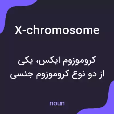 معنی x-chromosome به فارسی معنی x-chromosome به فارسی