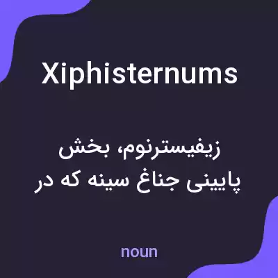 معنی xiphisternums به فارسی معنی xiphisternums به فارسی