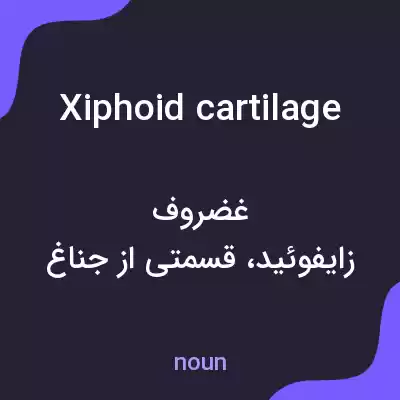 معنی xiphoid cartilage به فارسی