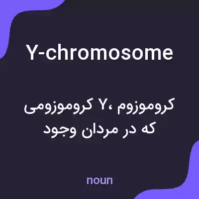 معنی y-chromosome به فارسی معنی y-chromosome به فارسی
