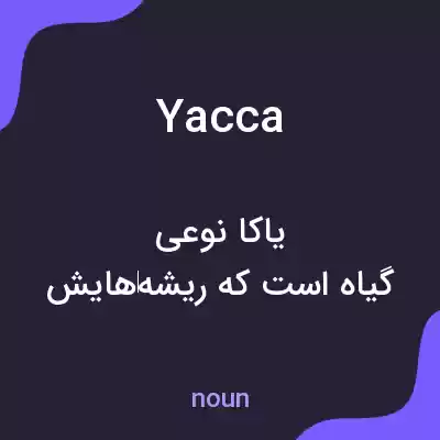 معنی yacca به فارسی معنی yacca به فارسی