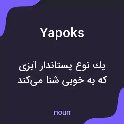 معنی yapoks به فارسی معنی yapoks به فارسی