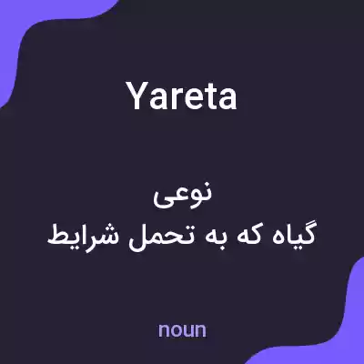 معنی yareta به فارسی معنی yareta به فارسی