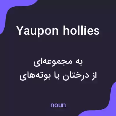 معنی yaupon hollies به فارسی معنی yaupon hollies به فارسی