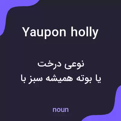 معنی yaupon holly به فارسی