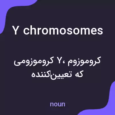 معنی y chromosomes به فارسی معنی y chromosomes به فارسی