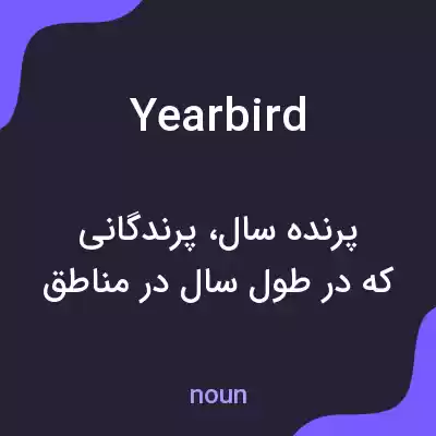 معنی yearbird به فارسی معنی yearbird به فارسی