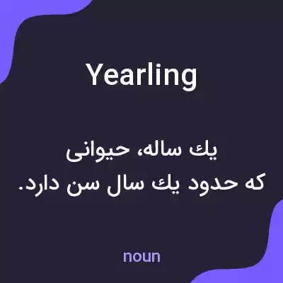 معنی yearling به فارسی معنی yearling به فارسی