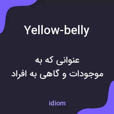 معنی yellow-belly به فارسی معنی yellow-belly به فارسی