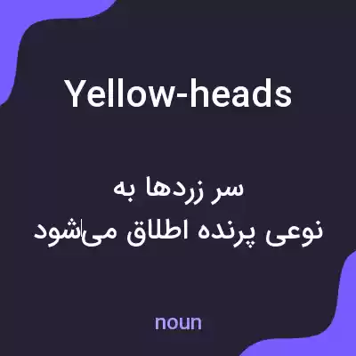 معنی yellow-heads به فارسی معنی yellow-heads به فارسی