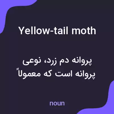 معنی yellow-tail moth به فارسی معنی yellow-tail moth به فارسی