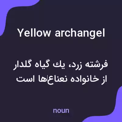 معنی yellow archangel به فارسی معنی yellow archangel به فارسی