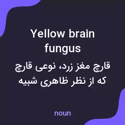 معنی yellow brain fungus به فارسی معنی yellow brain fungus به فارسی