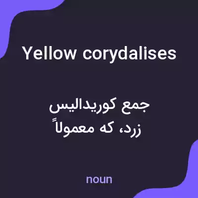 معنی yellow corydalises به فارسی معنی yellow corydalises به فارسی