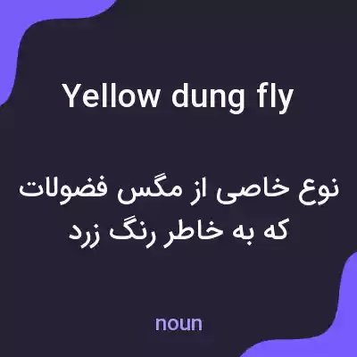 معنی yellow dung fly به فارسی معنی yellow dung fly به فارسی