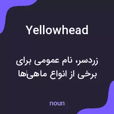 معنی yellowhead به فارسی معنی yellowhead به فارسی