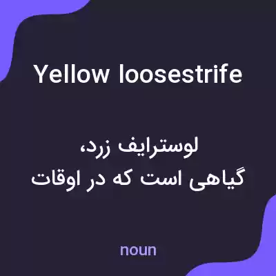 معنی yellow loosestrife به فارسی معنی yellow loosestrife به فارسی