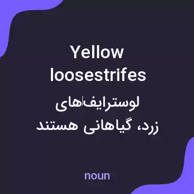 معنی yellow loosestrifes به فارسی معنی yellow loosestrifes به فارسی