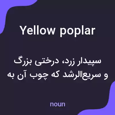 معنی yellow poplar به فارسی معنی yellow poplar به فارسی