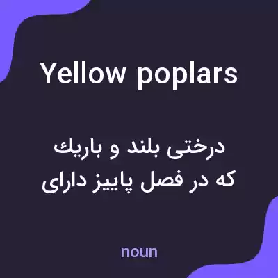 معنی yellow poplars به فارسی معنی yellow poplars به فارسی