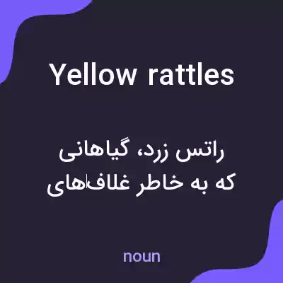 معنی yellow rattles به فارسی معنی yellow rattles به فارسی