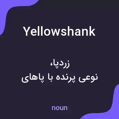 معنی yellowshank به فارسی معنی yellowshank به فارسی