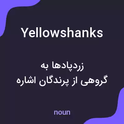 معنی yellowshanks به فارسی معنی yellowshanks به فارسی