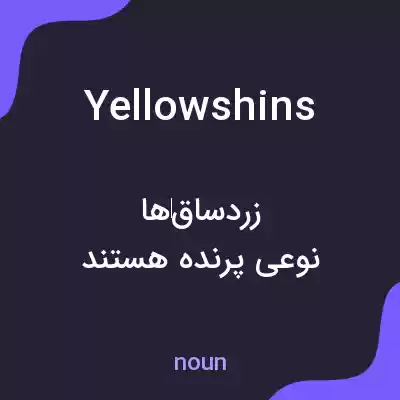 معنی yellowshins به فارسی معنی yellowshins به فارسی