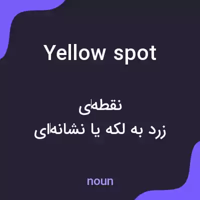 معنی yellow spot به فارسی معنی yellow spot به فارسی