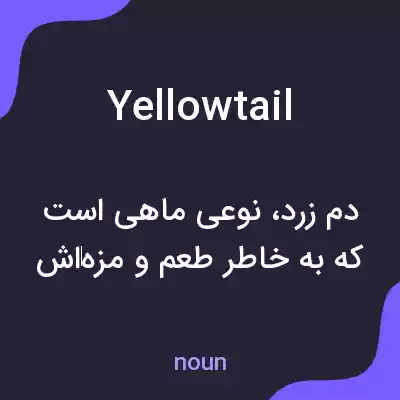 معنی yellowtail به فارسی معنی yellowtail به فارسی