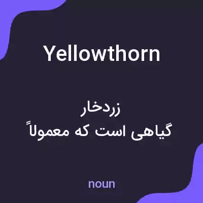 معنی yellowthorn به فارسی معنی yellowthorn به فارسی