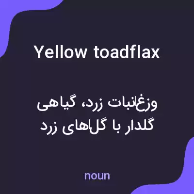 معنی yellow toadflax به فارسی معنی yellow toadflax به فارسی