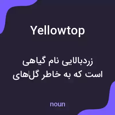 معنی yellowtop به فارسی معنی yellowtop به فارسی