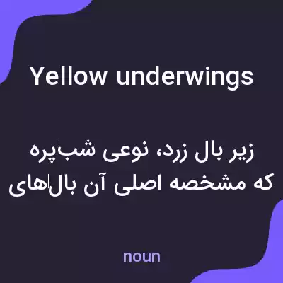 معنی yellow underwings به فارسی معنی yellow underwings به فارسی