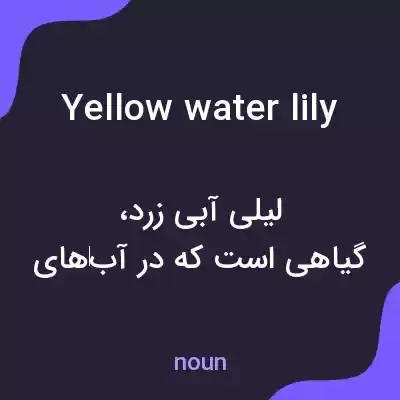 معنی yellow water lily به فارسی معنی yellow water lily به فارسی