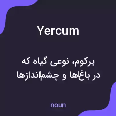 معنی yercum به فارسی معنی yercum به فارسی