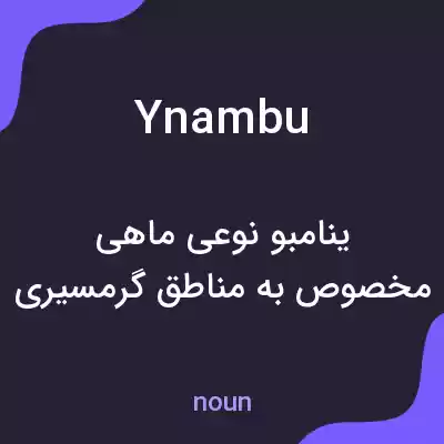 معنی ynambu به فارسی معنی ynambu به فارسی