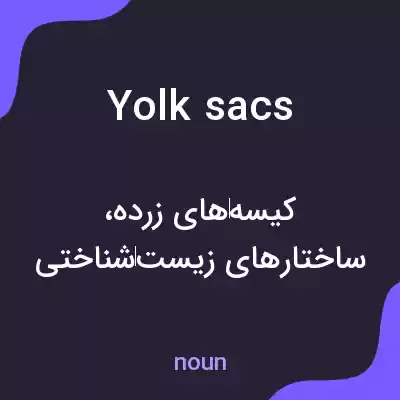 معنی yolk sacs به فارسی