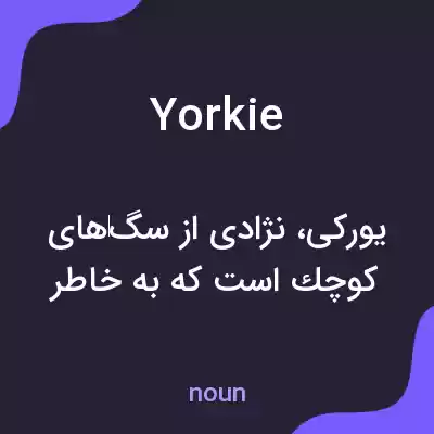 معنی yorkie به فارسی معنی yorkie به فارسی