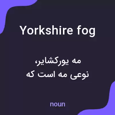معنی yorkshire fog به فارسی